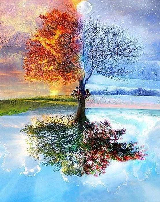 peinture numéros / ARBRES DES 4 SAISONS